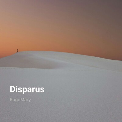 Disparus - RogéMary cover