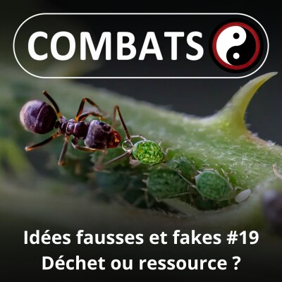 S06E19 Idées fausses : Les déchets des uns sont les ressources des autres cover
