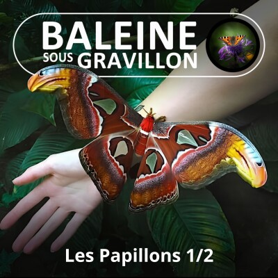 S04E64 Les Papillons 1/2 (Lionel Carlès) cover