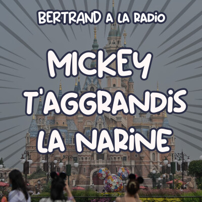 MICKEY T'AGGRANDIT LA NARINE ! cover