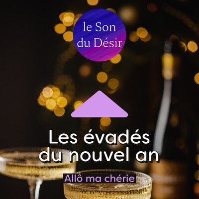 Les évadés du nouvel an - histoire érotique cover