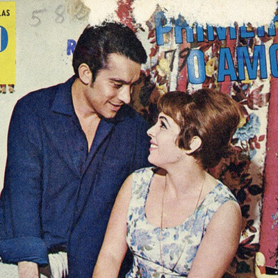 Le mystérieux objet de l'amour cover