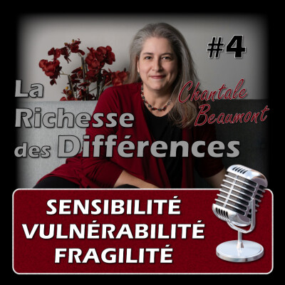 La Différence entre Sensibilité, Vulnérabilité et Fragilité E04 cover