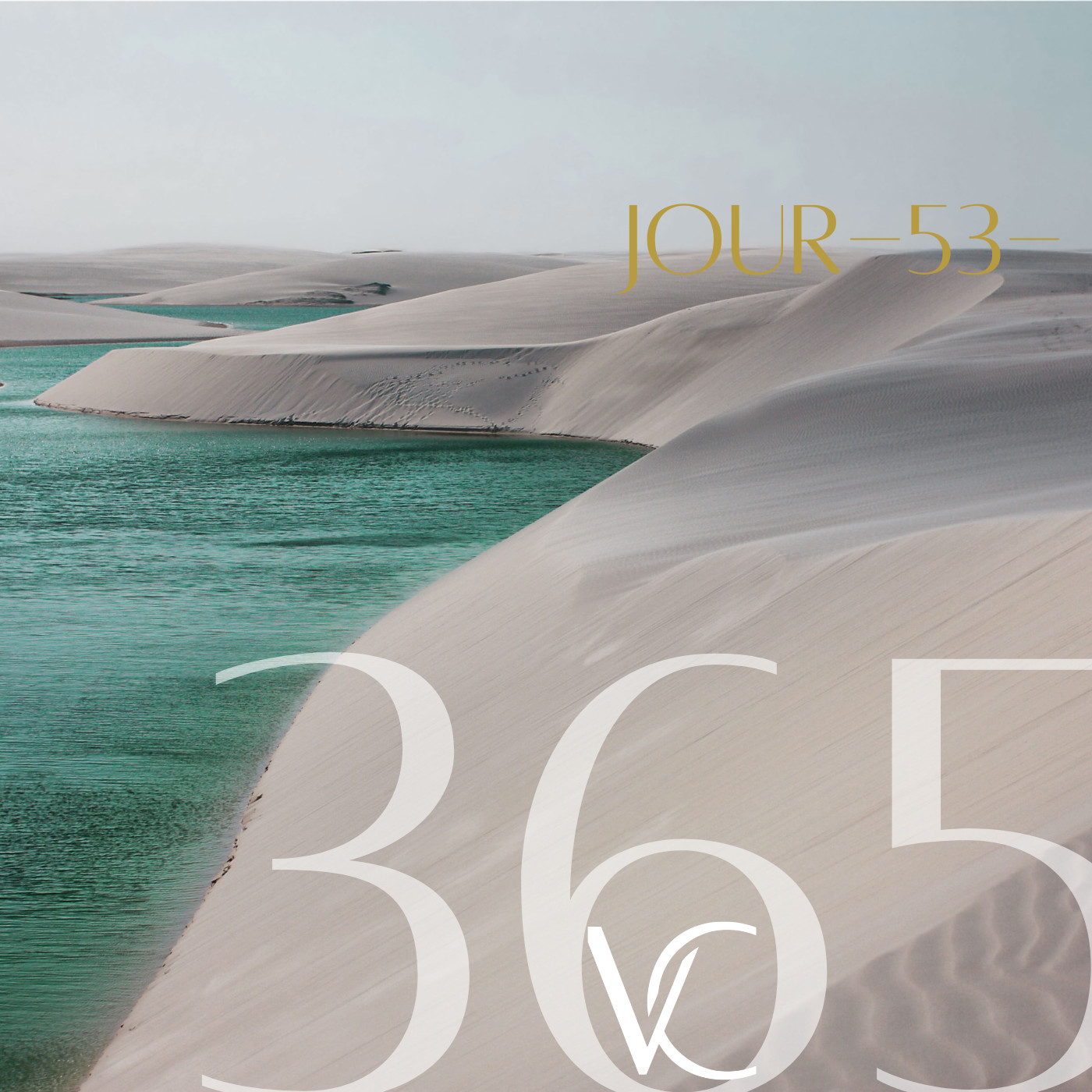LIVE 365 by Valérie Carchi