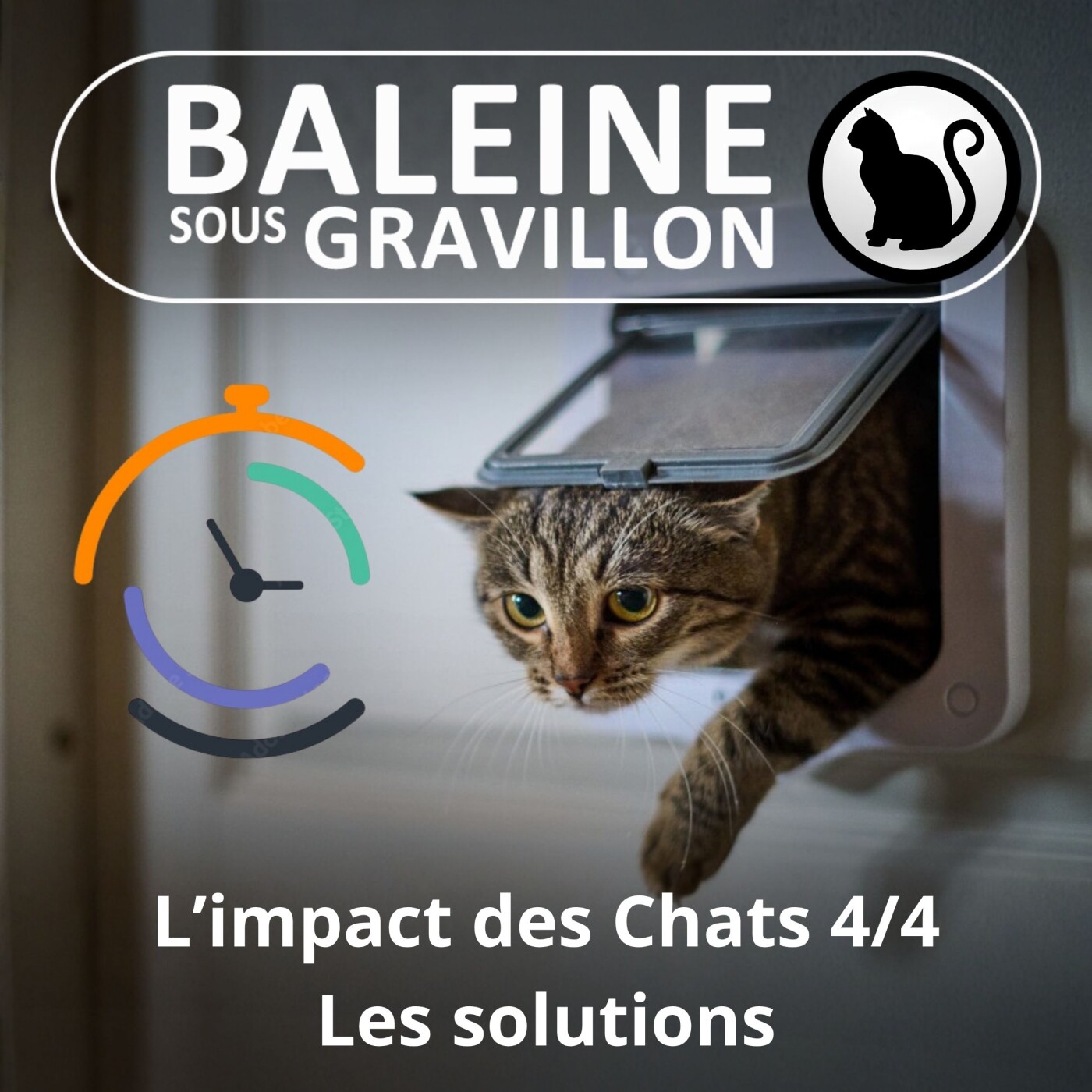 S02E55 L'impact des Chats 4/4 : Les solutions (Antoine Adam) episode artwork