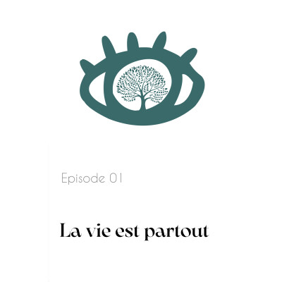 Nouvel épisode du 11/02 16:51 cover