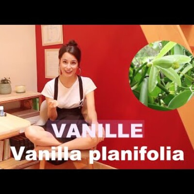 L'extrait / l'absolue de Vanille : redonner goût et réconforter HD 1080p cover