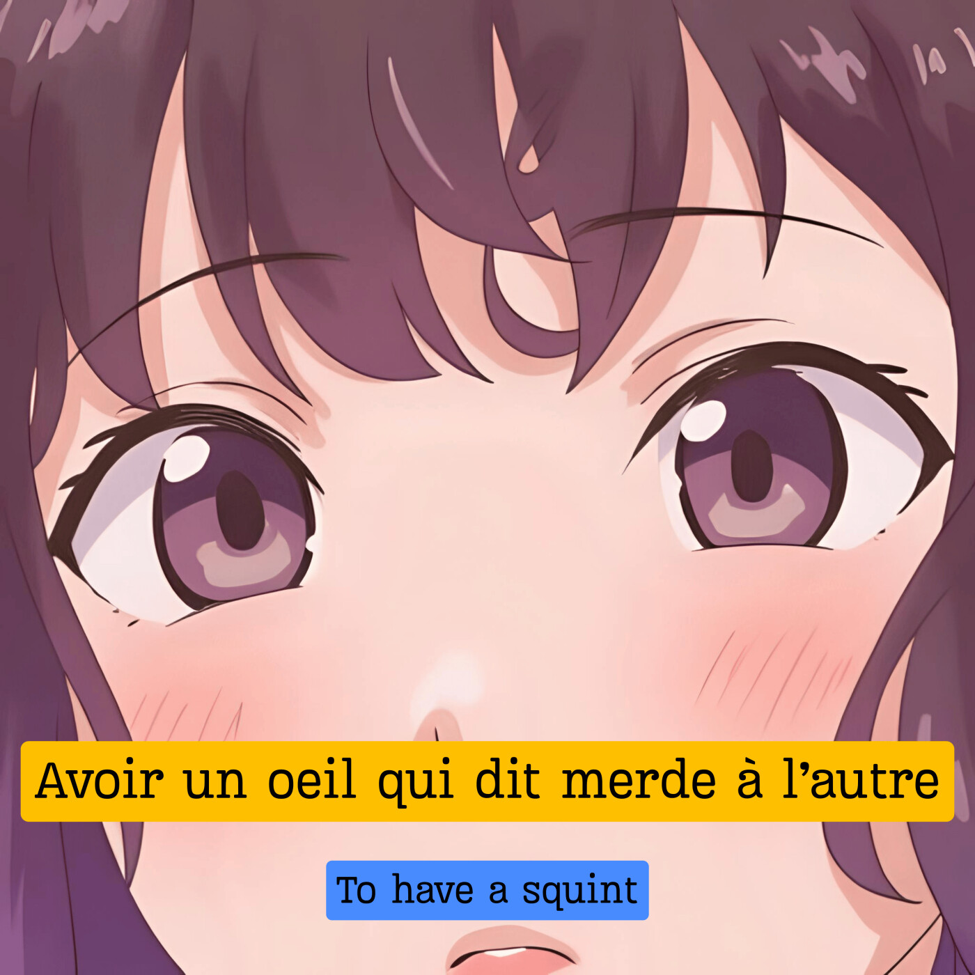 Expression française : "Avoir un oeil qui dit merde à l'autre"