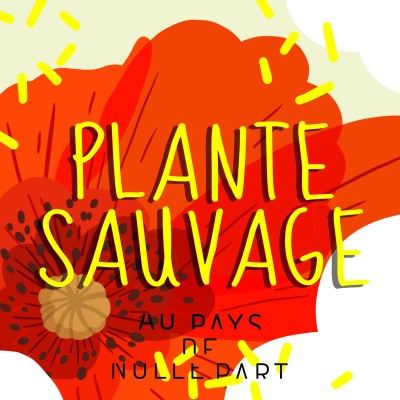 #18 Plante Sauvage cover