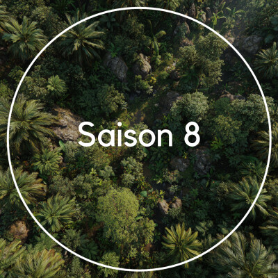 Saison 8 - C'est parti ! 🍌 cover