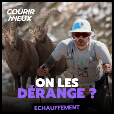 [ECHAUFFEMENT] - Le TRAIL, un DANGER pour la FAUNE ? Partie 2 cover