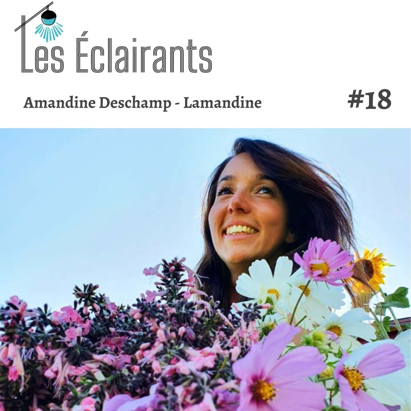 Les Eclairants