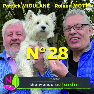 EMISSION #28 du 23 OCTOBRE 2021- L'INTEGRALE cover