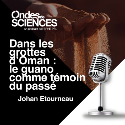 Dans les grottes d’Oman : le guano comme témoin du passé cover