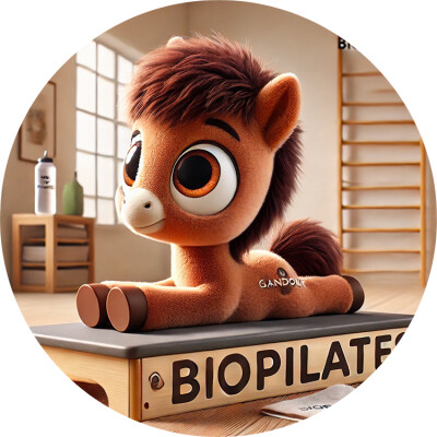 🇫🇷 Gandour et la seconde course cover