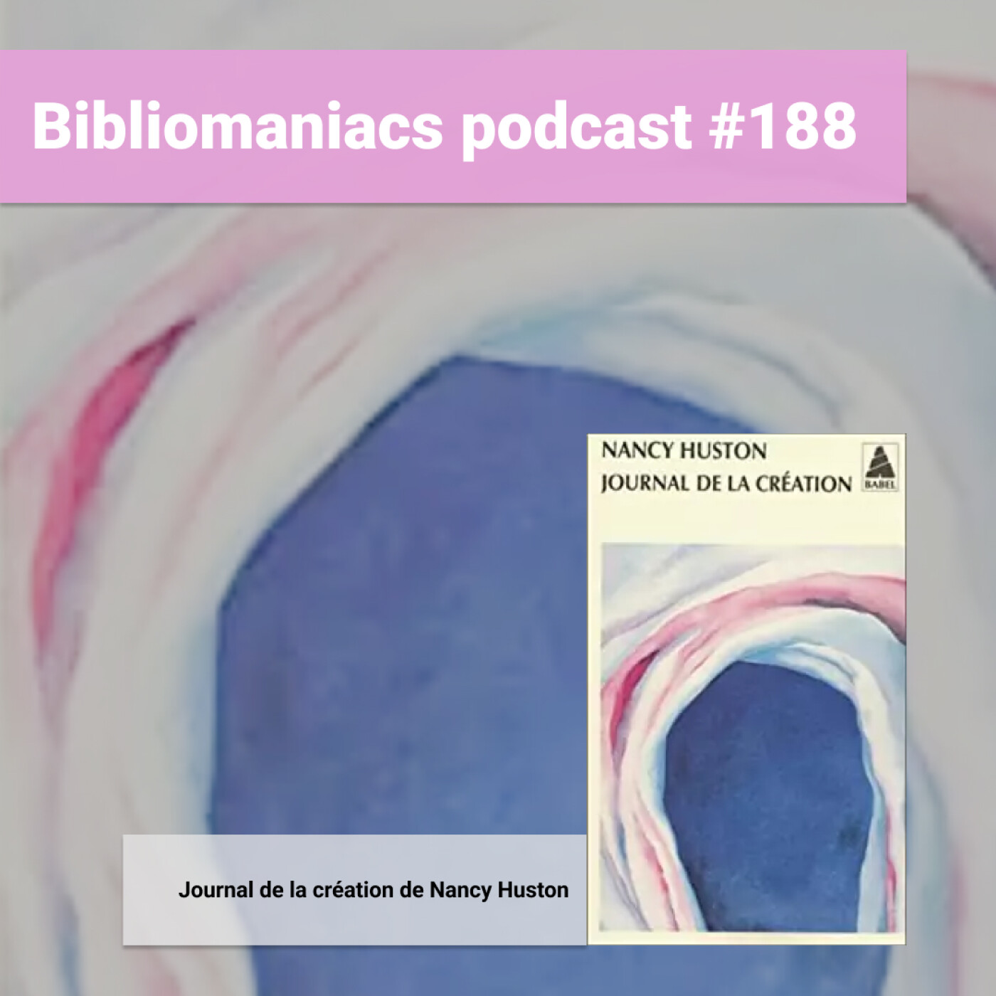 Bibliomaniacs épisode 188 Journal de la création de Nancy Huston