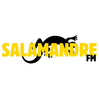 Show image for BORDO "Salamandre FM"