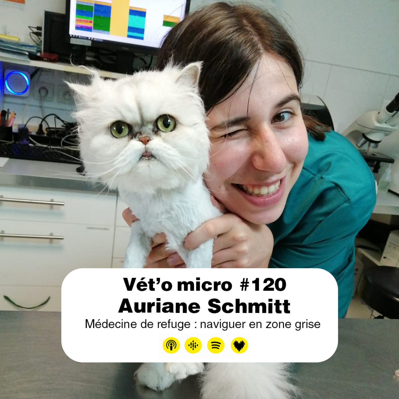 Épisode #120 - Auriane Schmitt : Médecine de refuge : naviguer en zone grise