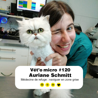 Épisode #120 - Auriane Schmitt : Médecine de refuge : naviguer en zone grise cover