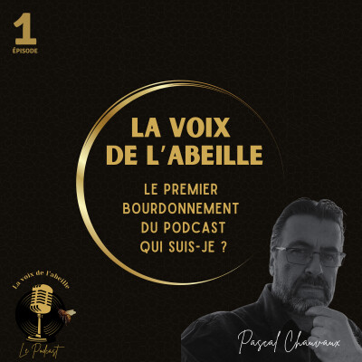 #1 - Le premier bourdonnement du podcast - Qui suis-je? cover