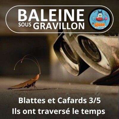 S05E19 Blattes et Cafards 3/5 : Des costauds qui ont traversé le temps... cover