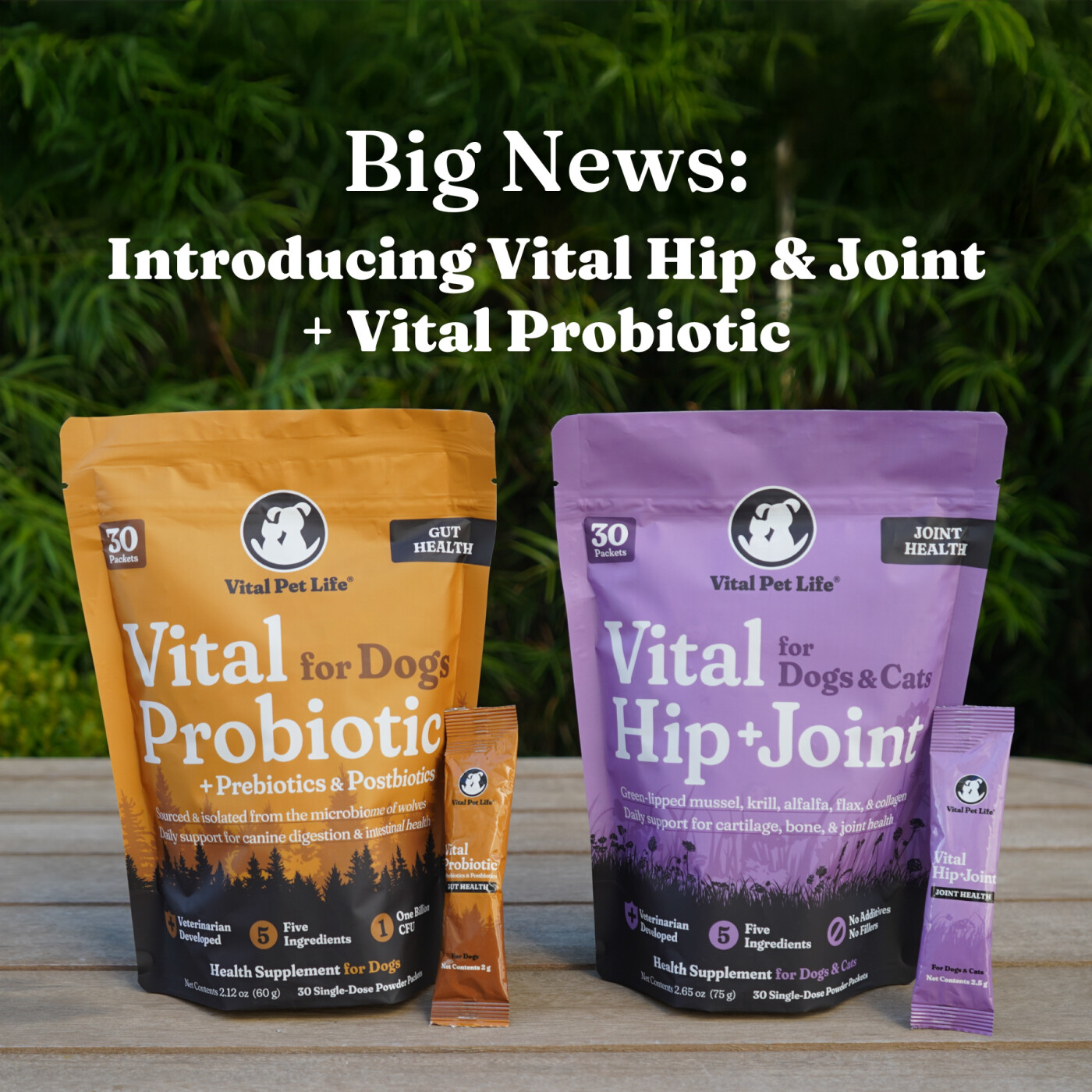 Big News: Introducing Vital Hip & Joint + Vital Probiotic episode artwork