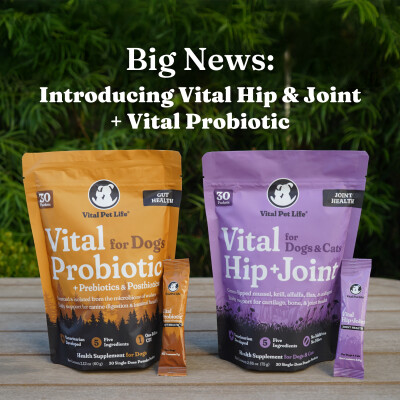 Big News: Introducing Vital Hip & Joint + Vital Probiotic cover