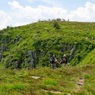Randonnez en famille dans la vallée de Munster ! cover
