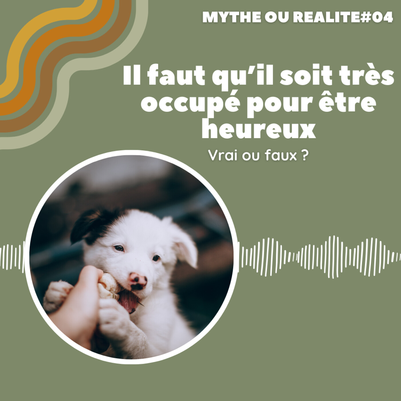 Il doit être très occupé pour être heureux ?! – MYTHE OU REALITE %234