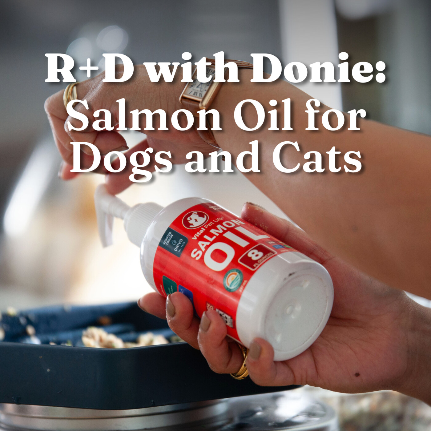 R+D with Donie: Salmon Oil for Dogs and Cats episode artwork