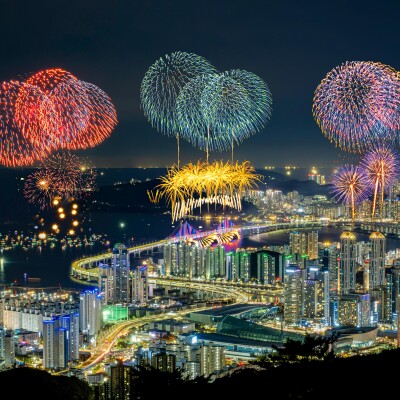 Découvrez l'extraordinaire histoire de la Saint Sylvestre ! cover