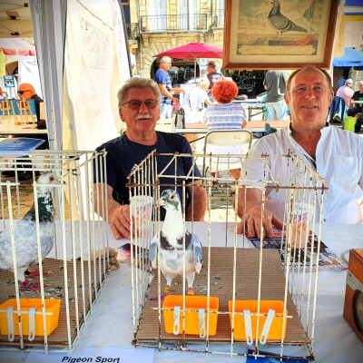 L'écho des assos : le pigeon sport libournais cover