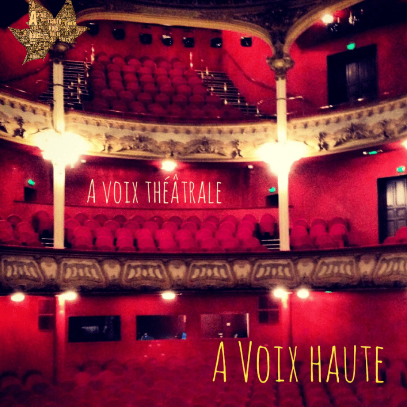 A Voix théatrale - Deburau - Sacha Guitry - Yannick Debain