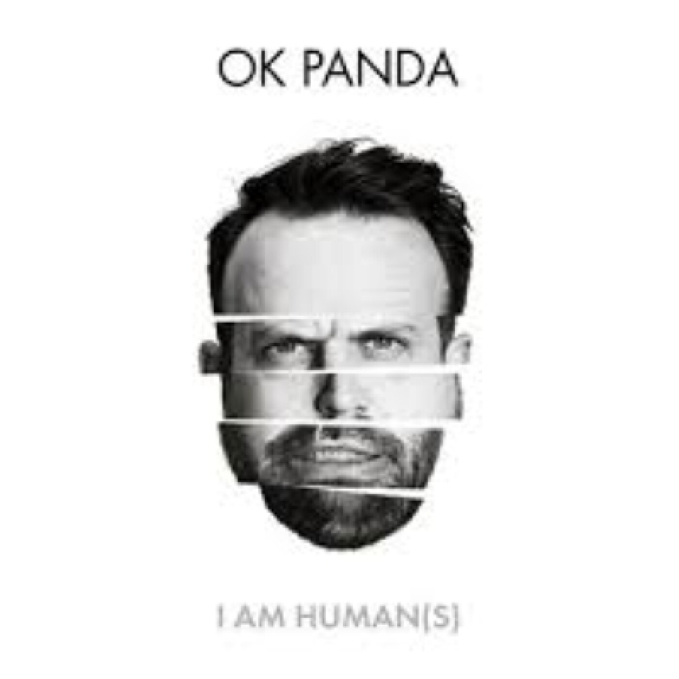 Podcast Ok panda- EP I m Human(s) -Vincent Guitariste episode artwork