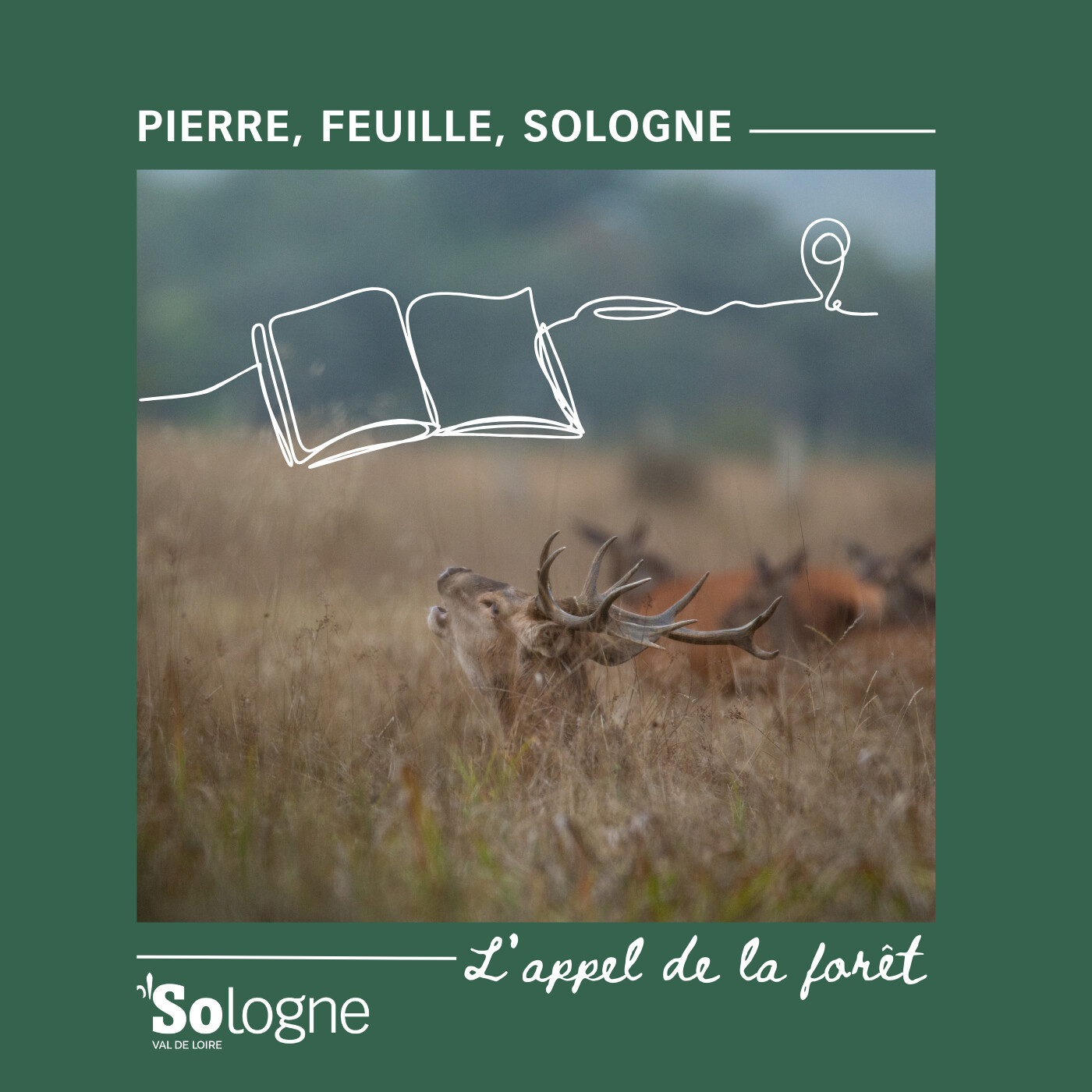 📣 Programme B présente Pierre, feuille, Sologne - Carnet de voyage au pays des étangs. - Episode 4 - L'appel de la forêt