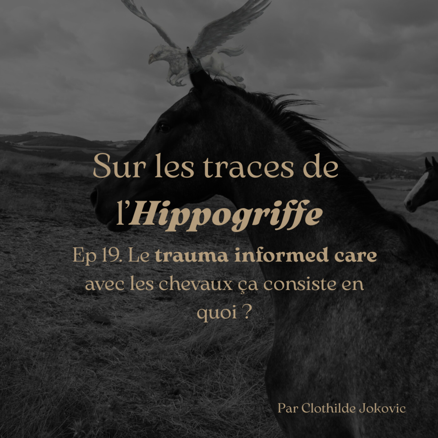 Sur les traces de l\'Hippogriffe