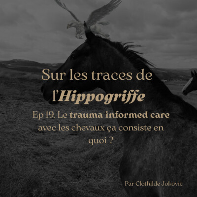 Episode 19. Le trauma informed care avec les chevaux ça consiste en quoi ? cover