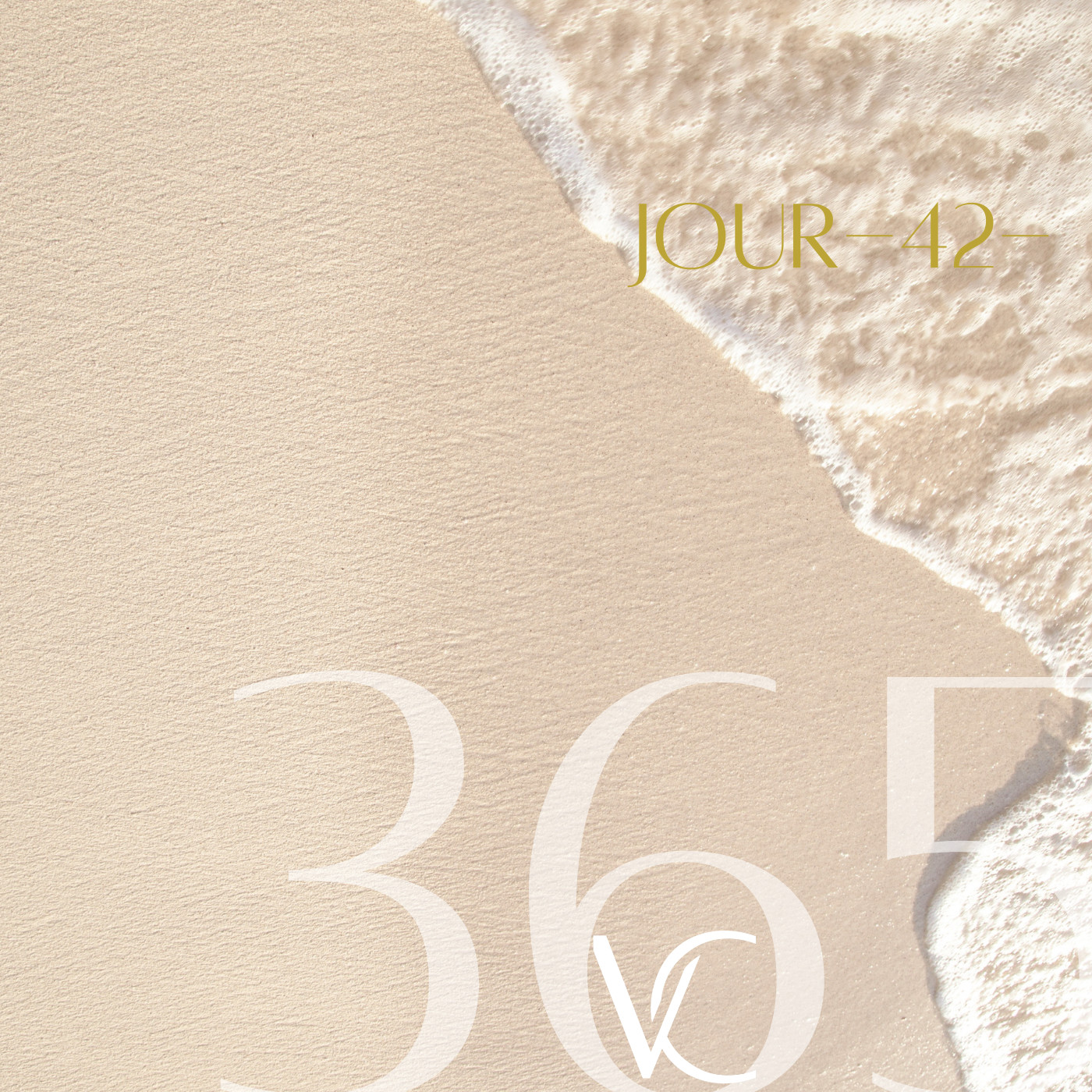 LIVE 365 by Valérie Carchi