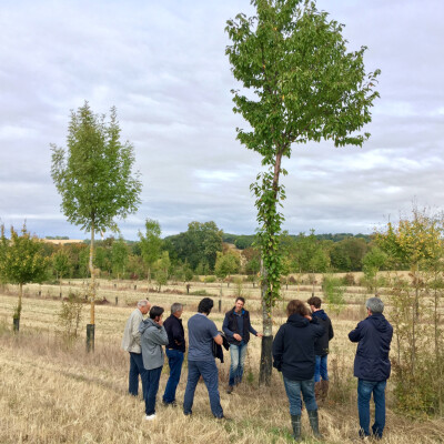 #45 Pierre Pujos 🌳 Agroforesterie & Réintégration de l'élevage au Coeur des Champs cover