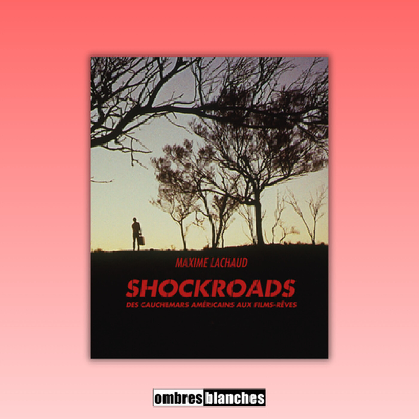 Maxime Lachaud → Shockroads. Des cauchemars américains aux films-rêves
