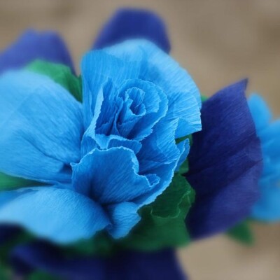 5- Zoute Beach Flower Festival 2023 -Jean-Marc Van Espen, Député-Président MR Province de Namur cover