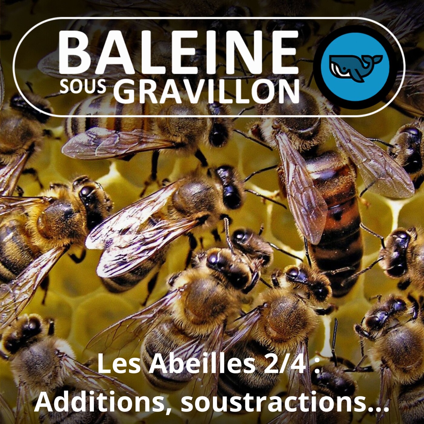 S02E114 L'intelligence des Abeilles 2/4 : capable d'additionner, de soustraire, de débattre ! Aurore Avarguès-Weber (chercheuse)