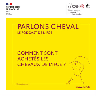 Ép. 78 | Comment sont achetés les chevaux de l'IFCE ? - Patrick Pratlong cover