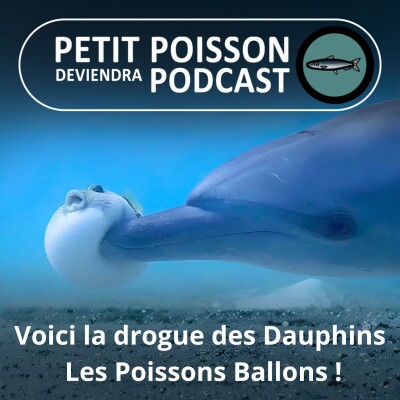 S06E03 La drogue des Dauphins : Les Poissons-ballons ! cover