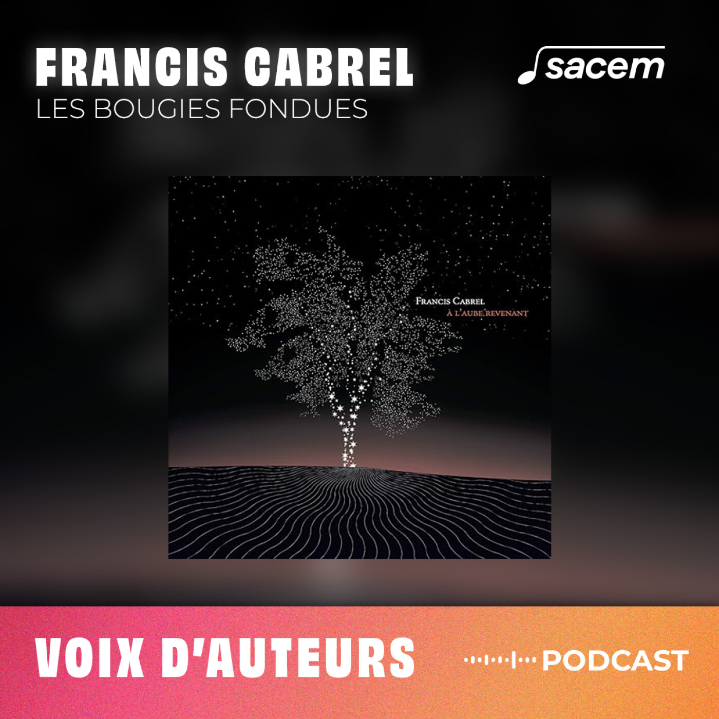 Francis Cabrel #26 : Les bougies fondues - Voix d'auteurs