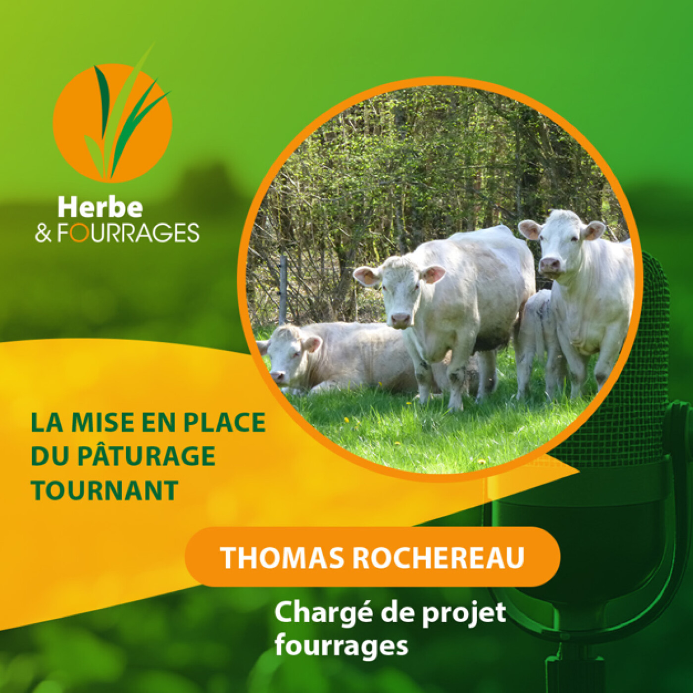 HERBE ET FOURRGES - La mise en place du pâturage tournant episode artwork