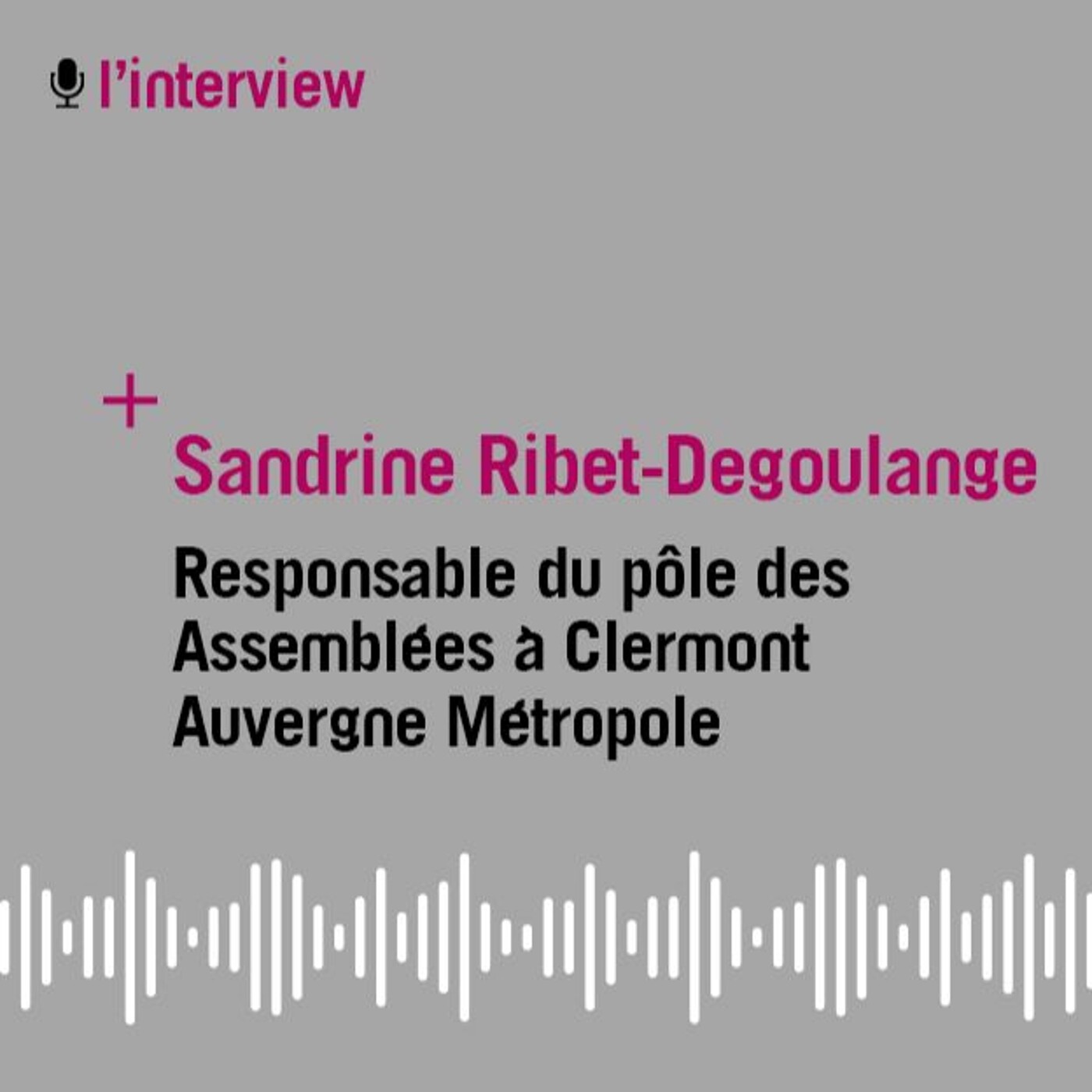 L'interview de Sandrine Ribet-Degoulange, responsable du pôle des Assemblées à la Métropole