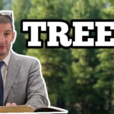Unveiling the Importance of Trees in the Bible! 2023 Christmas Sermon cover