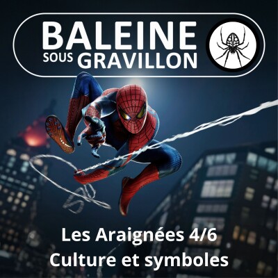 S02E59 Les Araignées 4/6 : Culture et symboles cover
