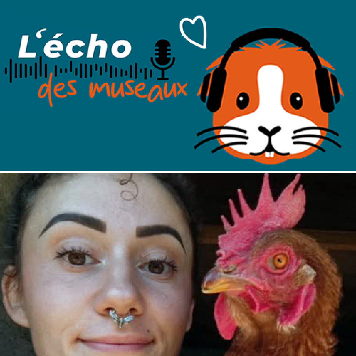 L\'écho des museaux